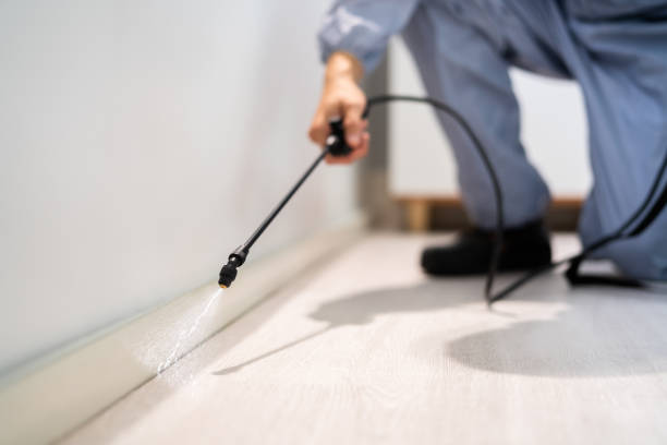 Licensed Fumigation Services service in South Hill, WA - Nex Pest Control