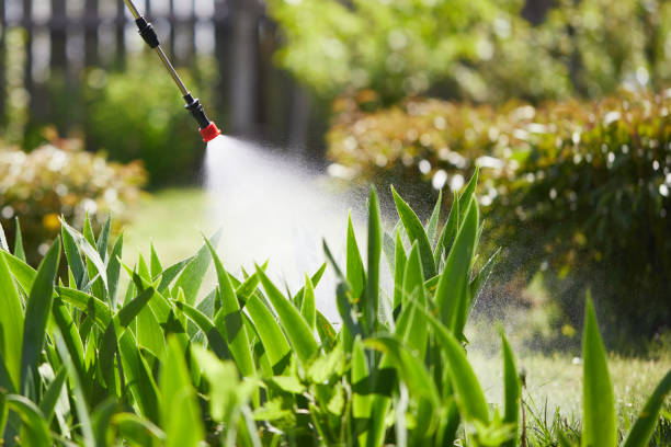 24/7 Emergency Fumigation Services experts in South Hill, WA