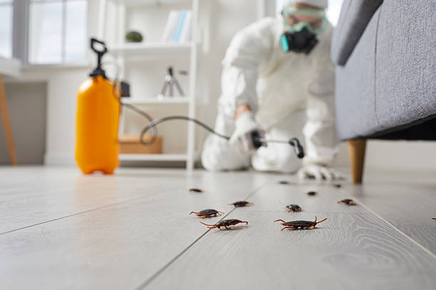 Trusted Fumigation Services service in South Hill, WA - Nex Pest Control