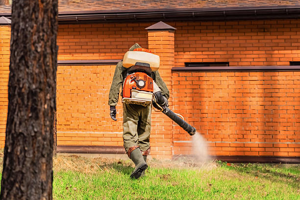 Trusted Bed Bug Control service in South Hill, WA - Nex Pest Control